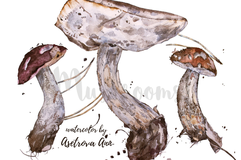 watercolor-mushrooms
