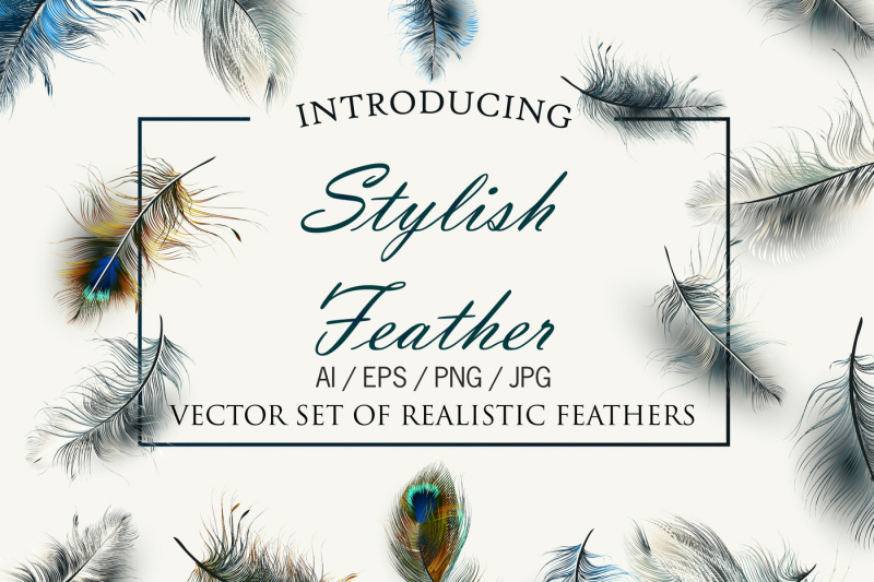 vector-realistic-feathers-set