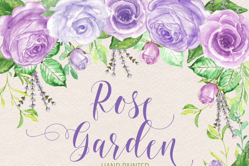 watercolor-purple-rose-garden-ii