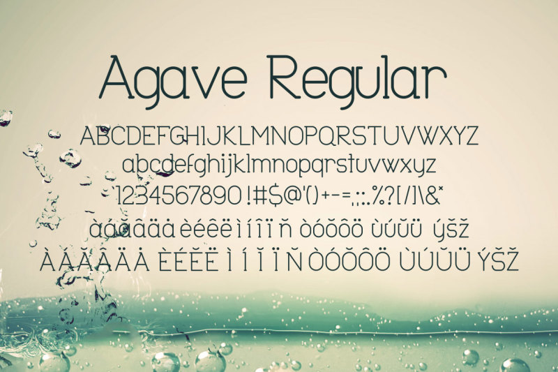 agave-font-trio