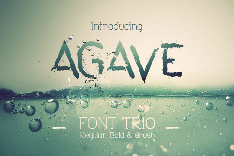 agave-font-trio