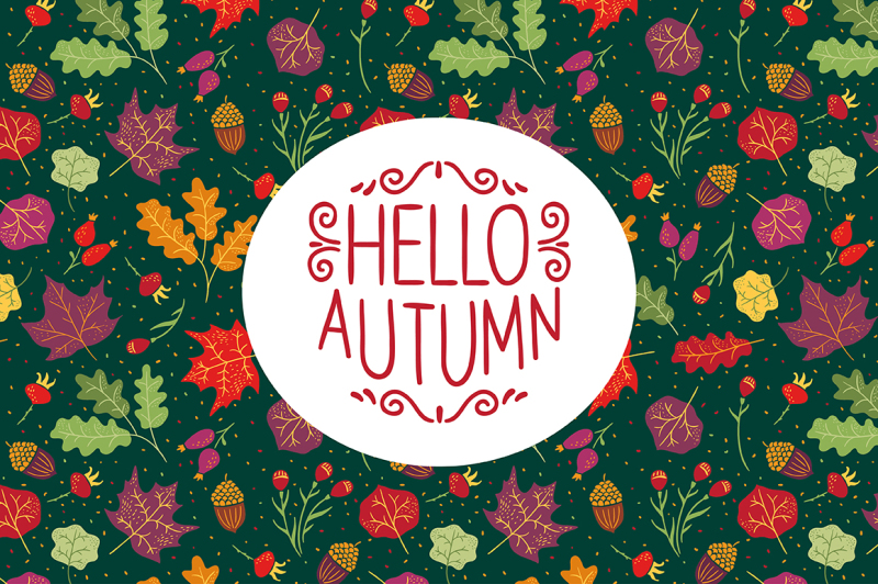 hello-autumn-collection