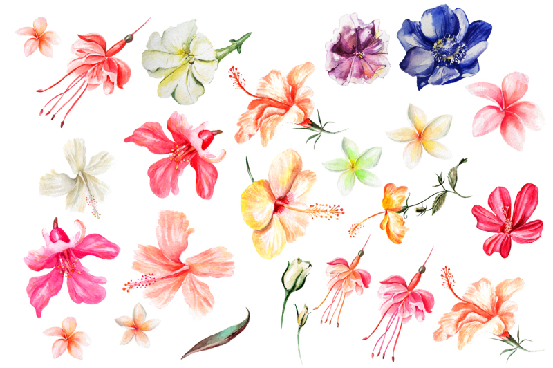 hand-drawn-watercolor-bundle-flowers