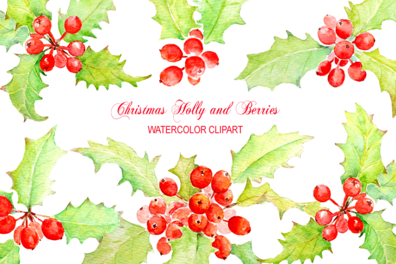 watercolor-holly-clipart