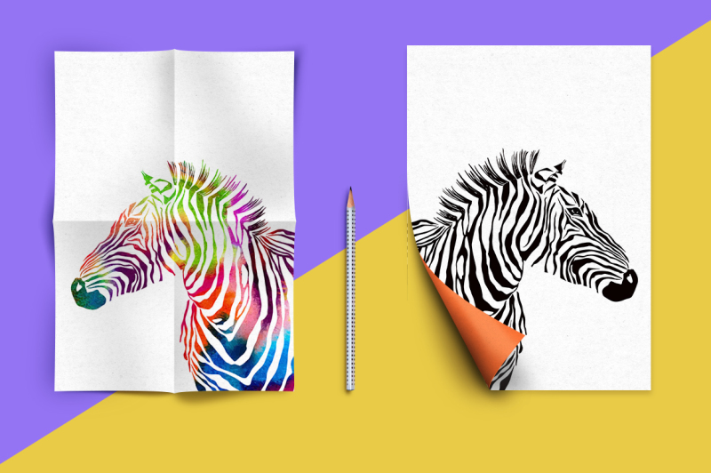 3-zebra-print-set