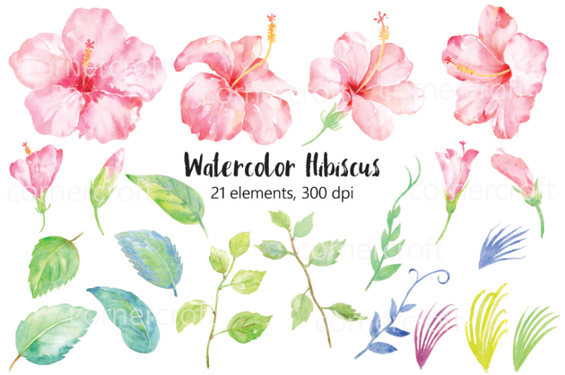 watercolor-pink-hibiscus-clipart