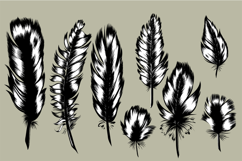 8-hand-drawn-feathers-set