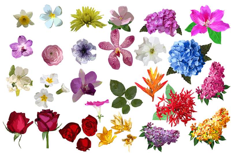 32-realistic-flowers-bundle