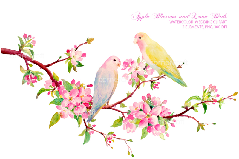 watercolor-clipart-apple-blossom-love-birds