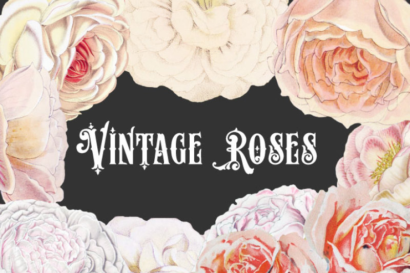 vintage-pastel-roses-clipart