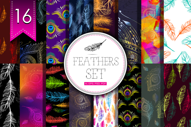 16-feathers-set