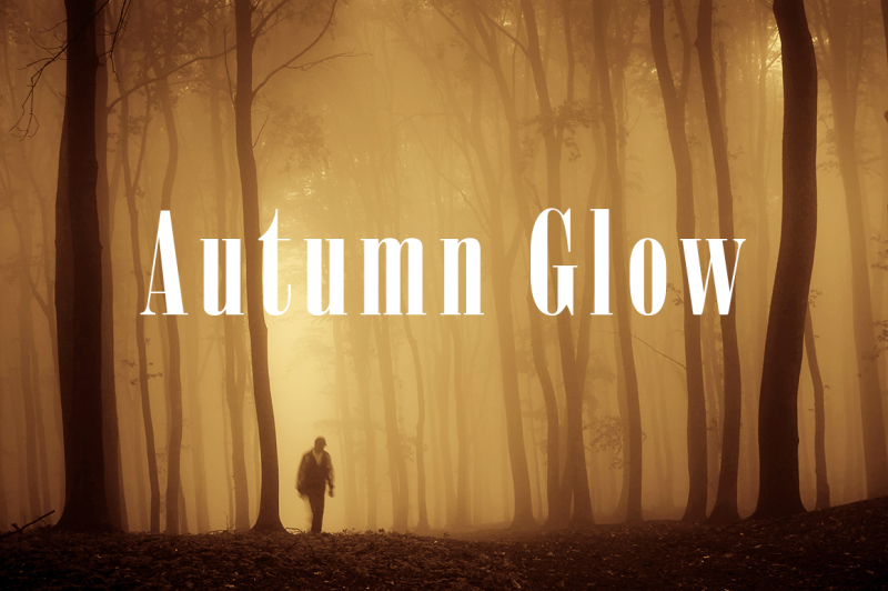 autumn-glow-lightroom-presets