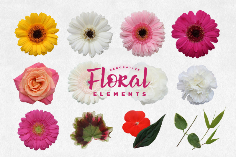 decorative-floral-elements-kit