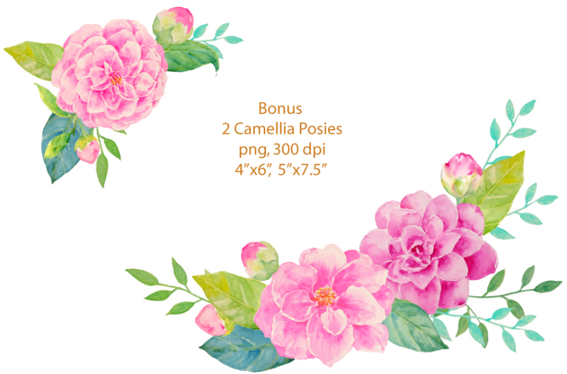 wedding-clipart-pink-camellia