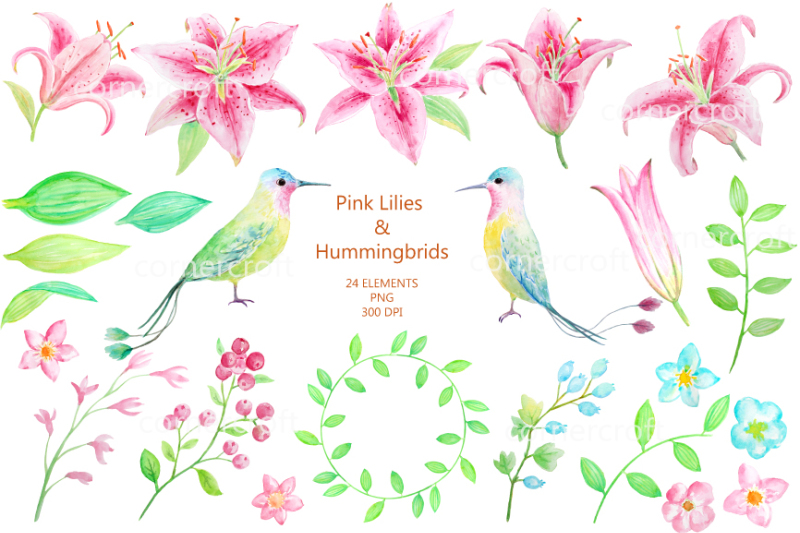 watercolor-pink-lily-and-humming-birds