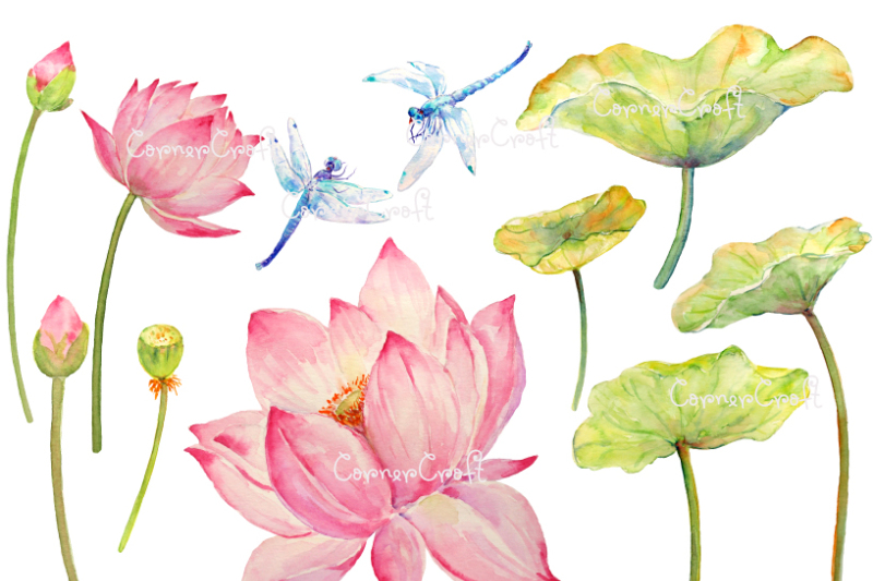 watercolor-lotus-and-dragon-fly