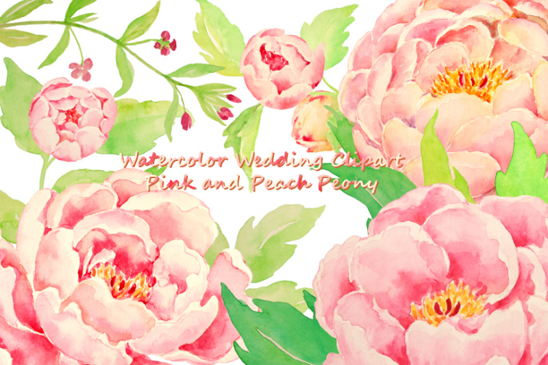 wedding-pink-peony-peach-peony