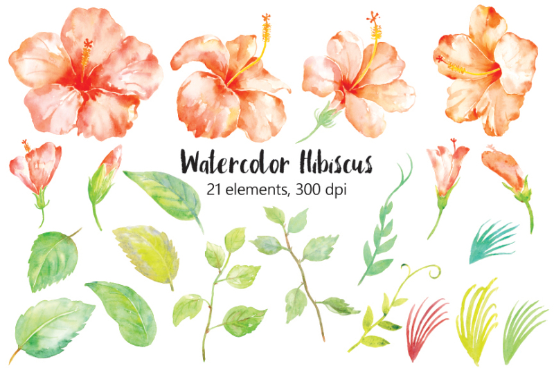 watercolor-clipart-orange-hibiscus