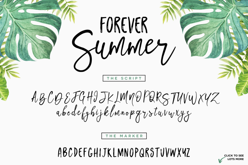 forever-summer-font-duo