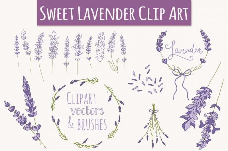 lavender-clip-art-and-vectors