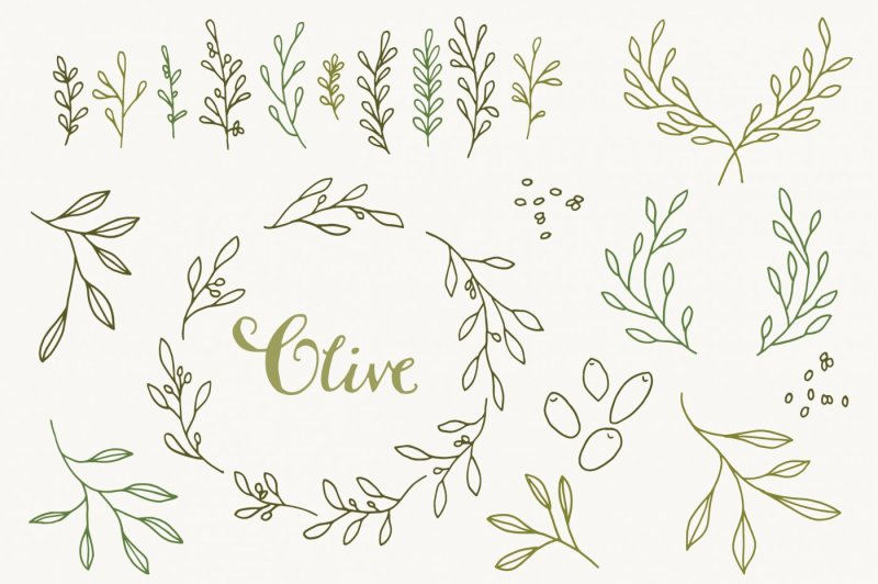 olive-branch-clip-art-and-vectors