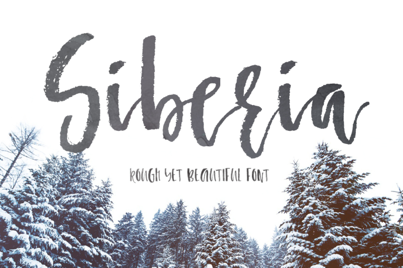 siberia-rough-brush-font
