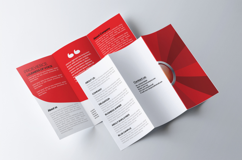 business-tri-fold-brochure
