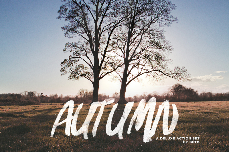 autumn-action