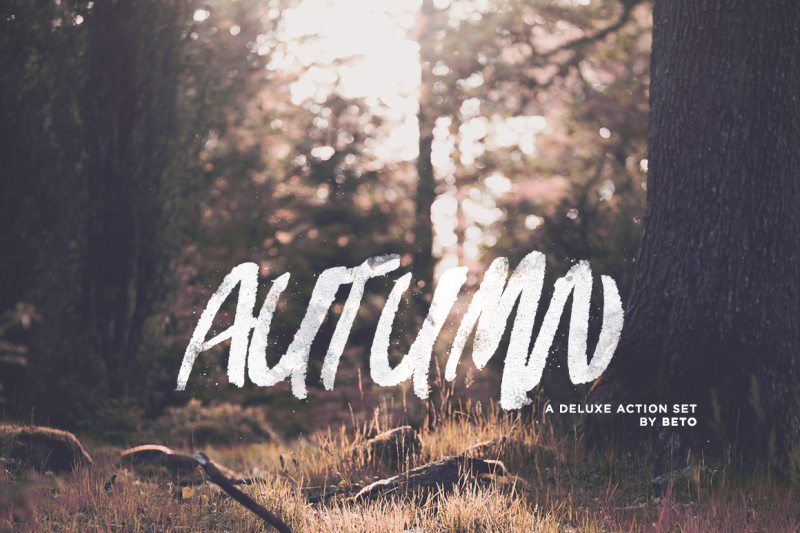 autumn-action
