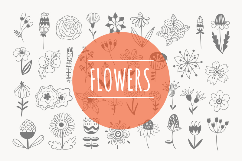 flowers-collection