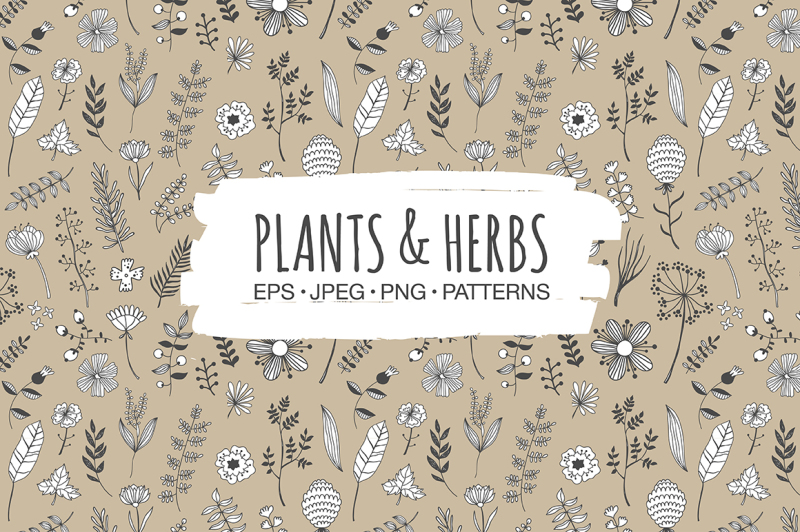 plants-amp-herbs