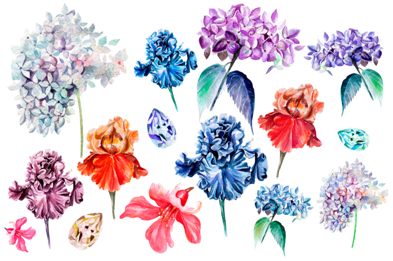 beautiful-watercolor-flowers.
