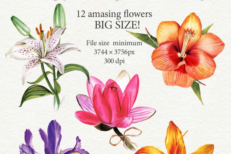 big-floral-bundle-120-png