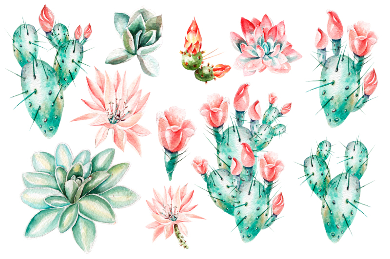 watercolor-succulents-and-cactuses