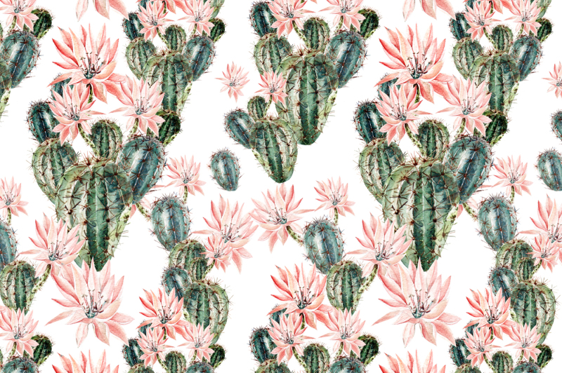 watercolor-succulents-and-cactuses