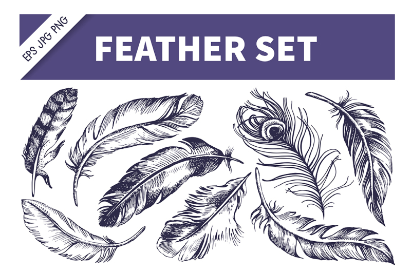 feather-hand-drawn-sketch-vector-set