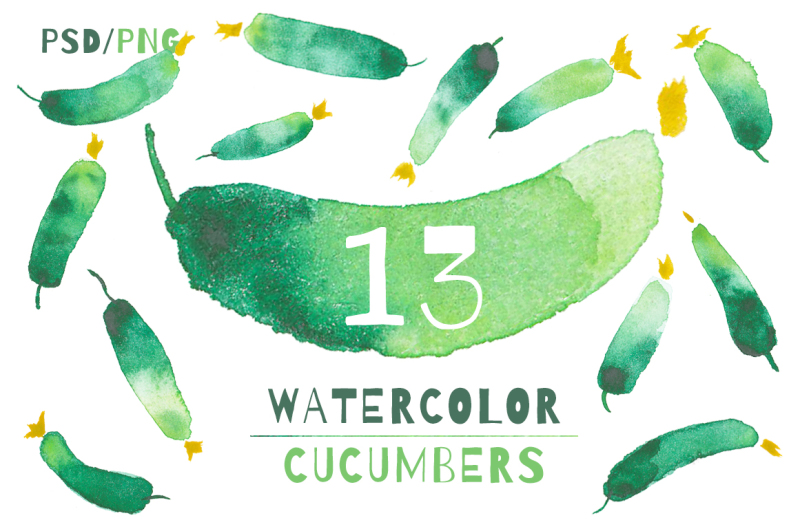 13-vegetable-watercolor-elements