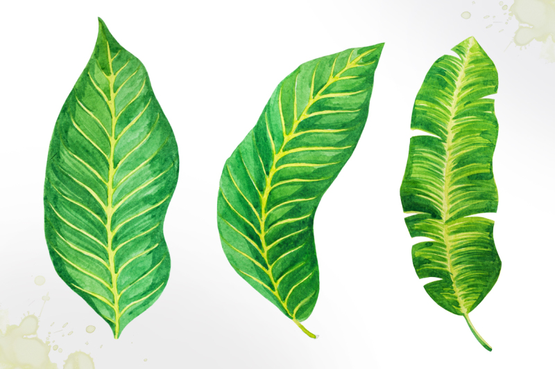tropical-leaves-watercolor-vector