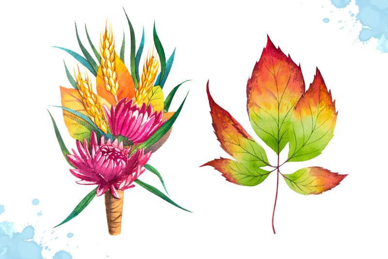 autumn-leaves-watercolor-set