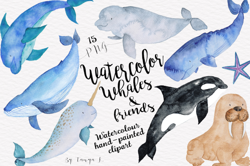 watercolor-whale-and-friends-collection