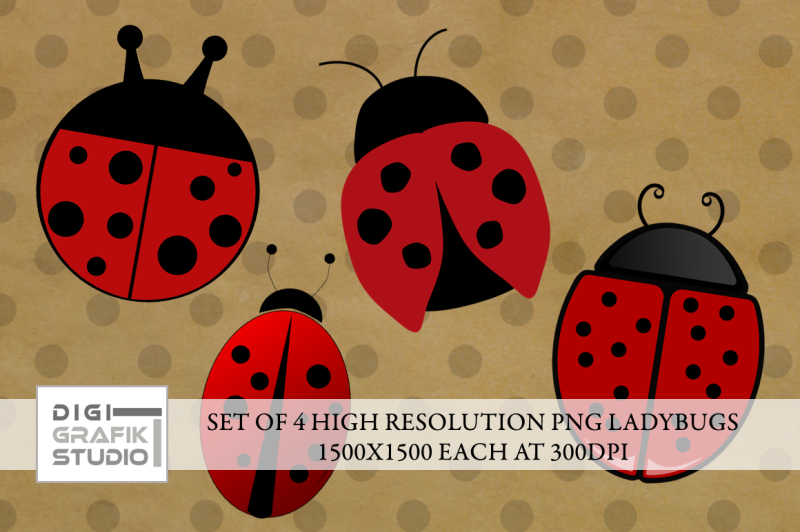 set-of-4-ladybugs-png-transparent-back