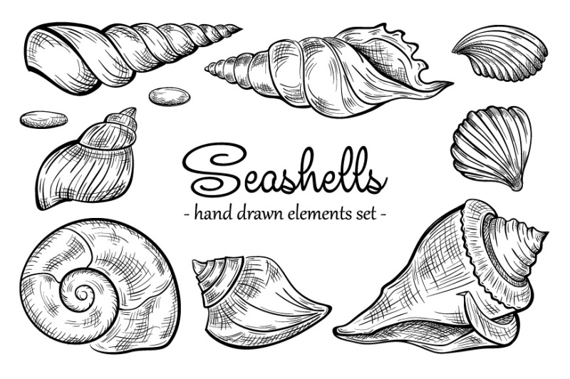 seashells-black-and-white-set