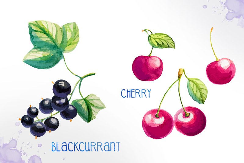 watercolor-berries