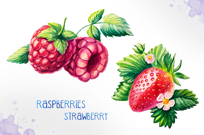 watercolor-berries