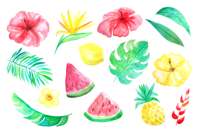 watercolor-tropical-mini-set