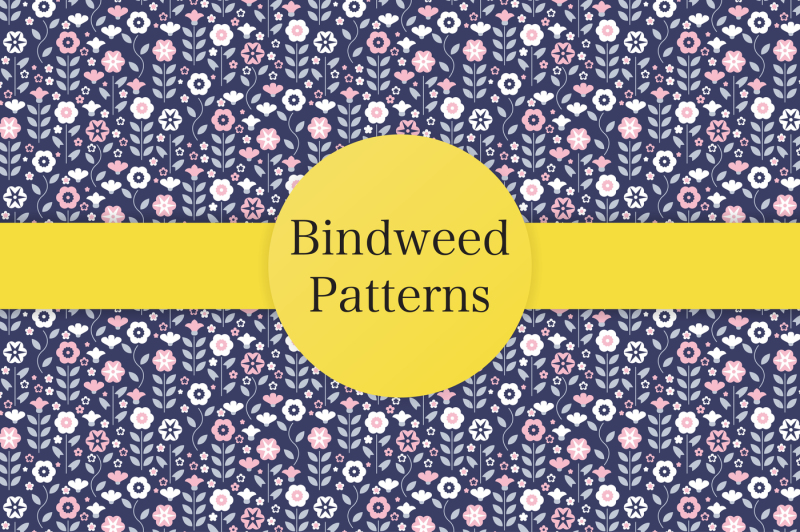 bindweed-big-pack