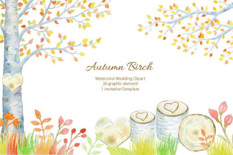 wedding-autumn-birch-tree
