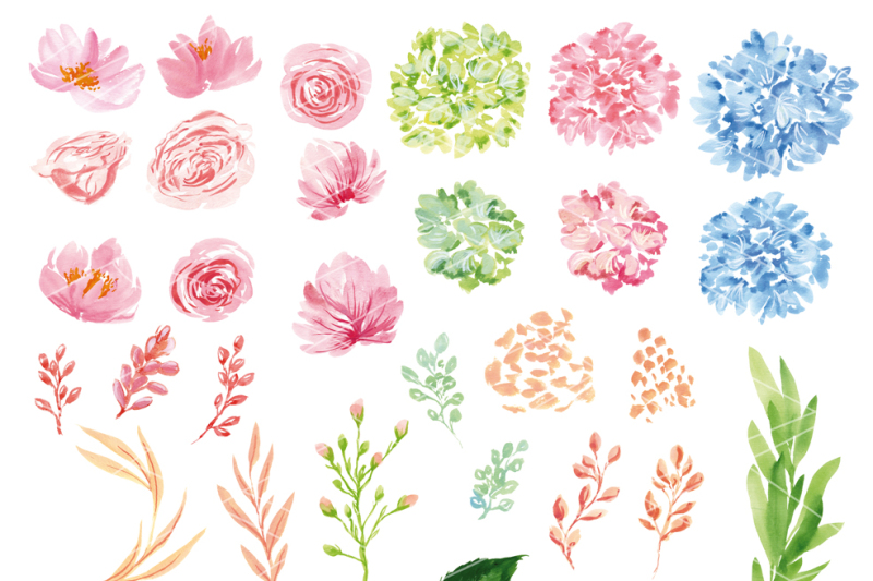 hydrangea-clipart-set-digital-watercolor-flowers