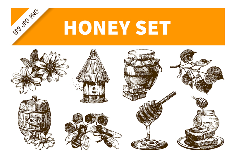 honey-hand-drawn-vecctor-set