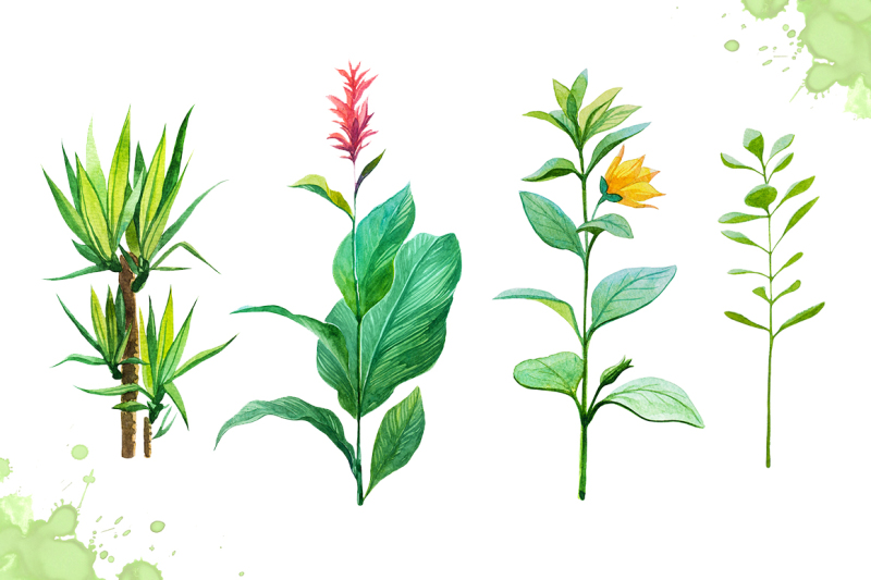 watercolor-tropical-leaves-set-2
